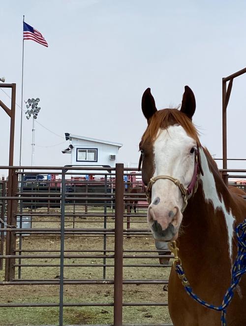 18:36:25 GMT-0800 (PST).image