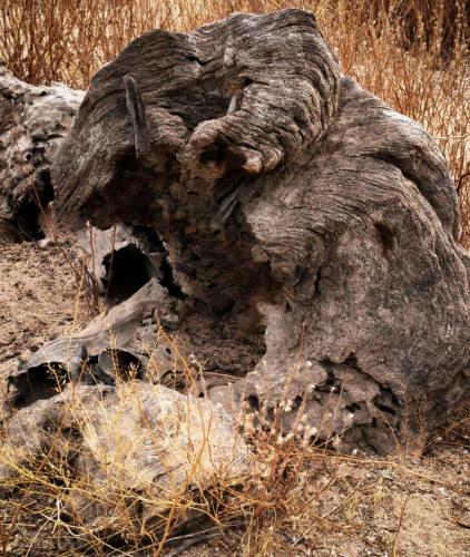 15:01:51 GMT-0800 (PST)