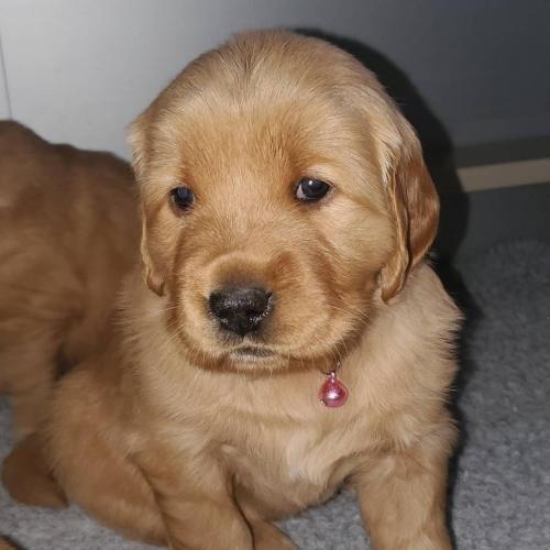 15:14:33 GMT-0500 (EST)