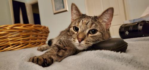 01:24:39 GMT-0500 (EST)