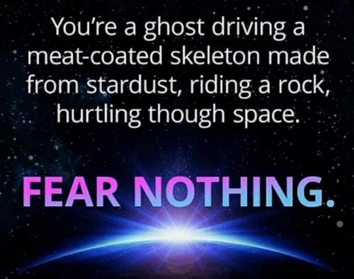 No FEAR!!