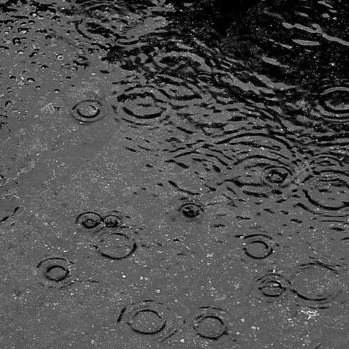 FB_IMG_1605245258404