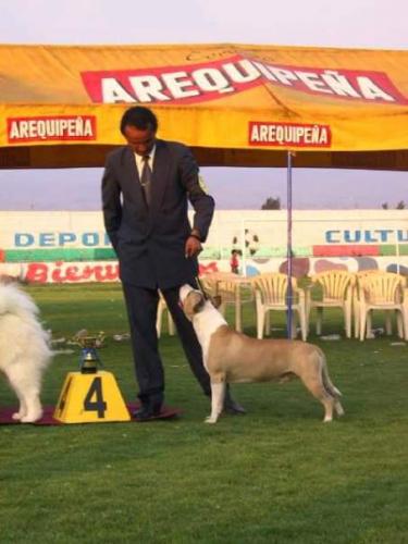 Oscar Pando ? @OsPando