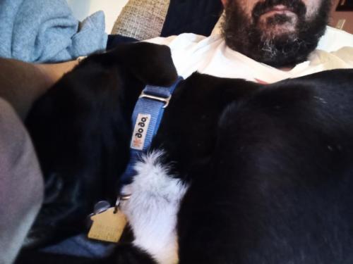 19:26:14 GMT-0500 (EST)