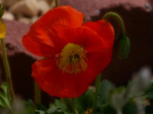 15:09:54 GMT-0800 (PST)