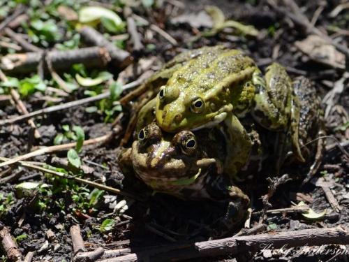 21:30:18 GMT-0600 (CST)