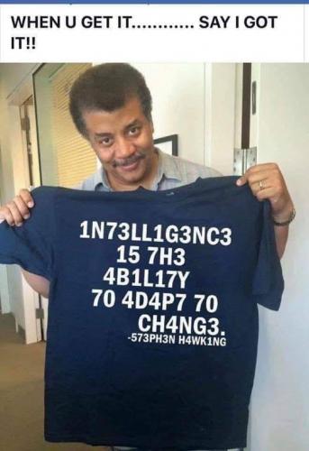 intelligence