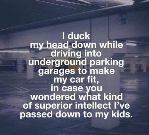 10:11:17 GMT-0500 (EST)