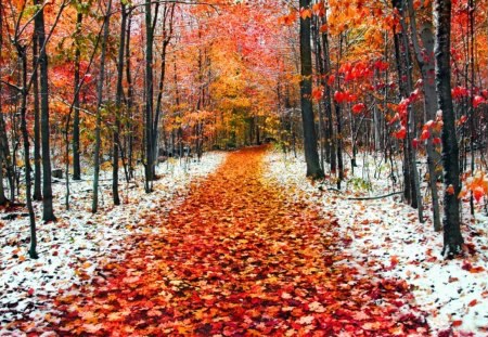 09:50:03 GMT-0500 (EST).image