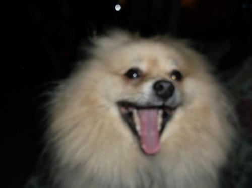 778829_4768556610733_960253435_o