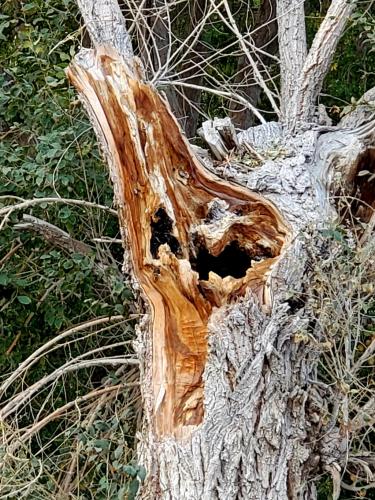 15:03:28 GMT-0800 (PST)