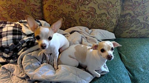 WIN_20200528_13_44_14_Pro