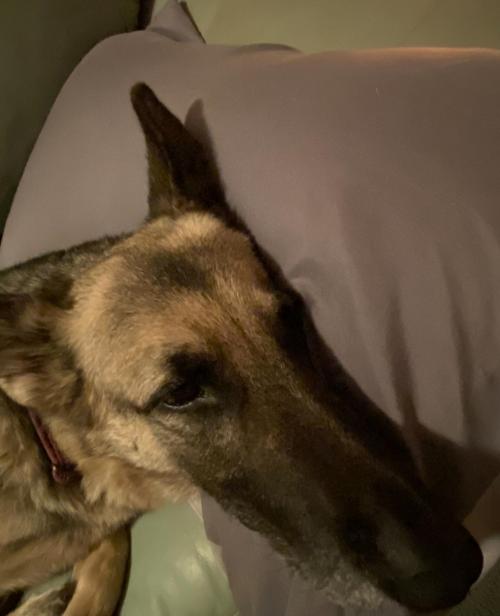 22:48:15 GMT-0700 (MST).image