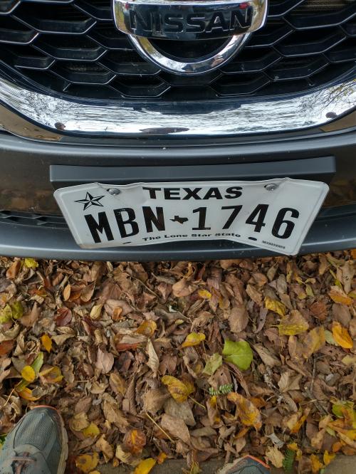 18:23:11 GMT-0600 (CST)