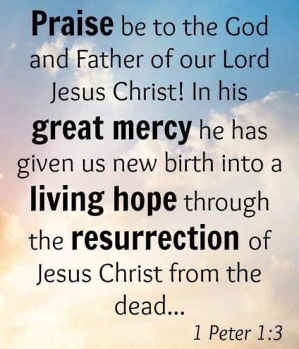 FB_IMG_1572393480507