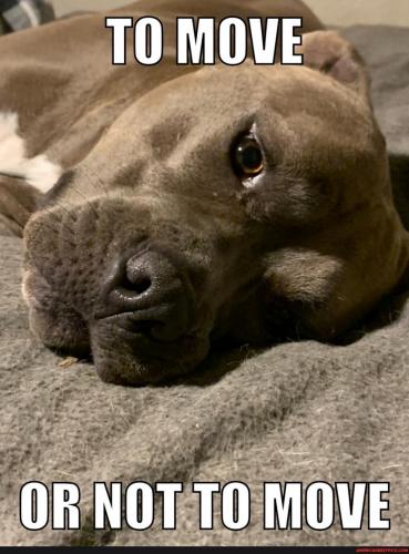 10:56:36 GMT-0600 (CST).image