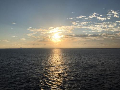 56848168_10214583172272898_2431697954852044800_n