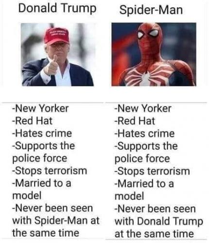 spidy trump