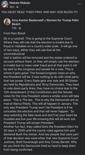 Screen Shot 2020-11-09 at 7.47.52 PM