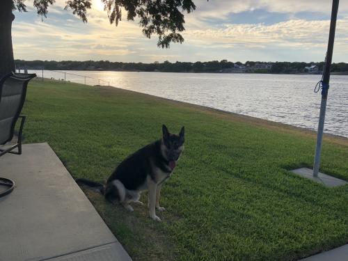 16:40:29 GMT-0600 (CST).image