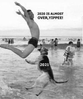 2021DogNads