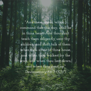 DA656B3E-6487-4D60-8CE6-F04B3D08EDC3-1333-0000014EB726A3B6