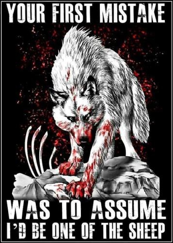 12:08:18 GMT-0600 (CST)