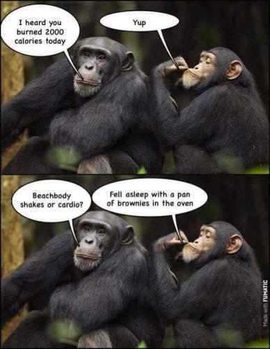 23:05:10 GMT-0500 (EST)