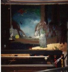 34006_1500702118985_3236208_n