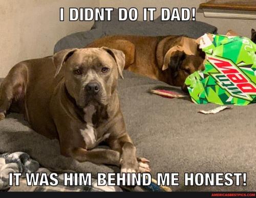 02:01:40 GMT-0600 (CST).image