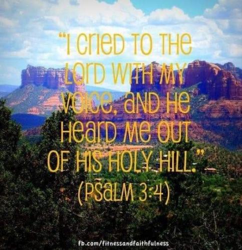 FB_IMG_1605243694525