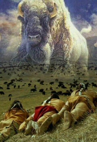 126481829_3804270669607747_6473080096410979398_n