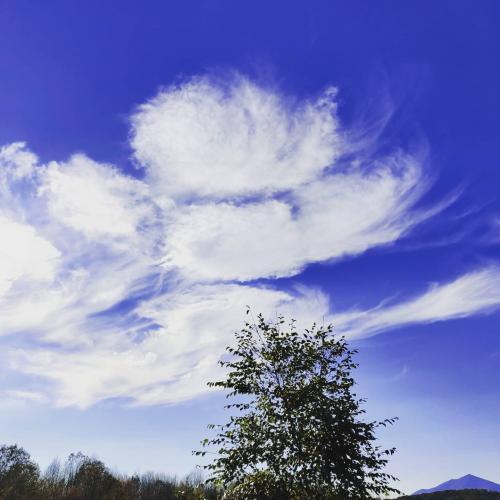 13:32:28 GMT-0500 (EST)