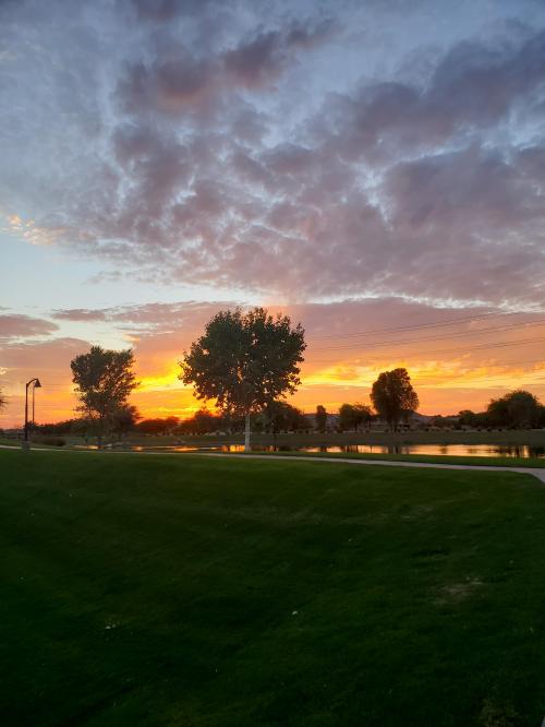 18:51:06 GMT-0700 (MST)