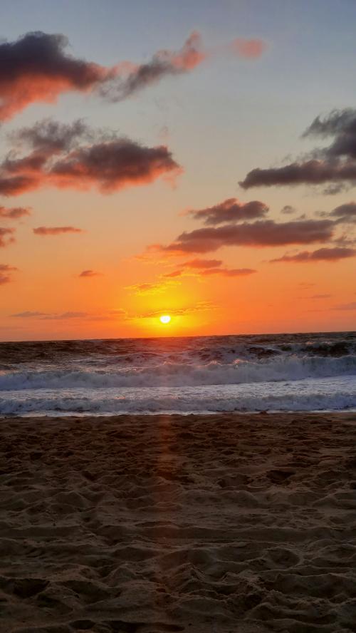 inbound2619879994673040645