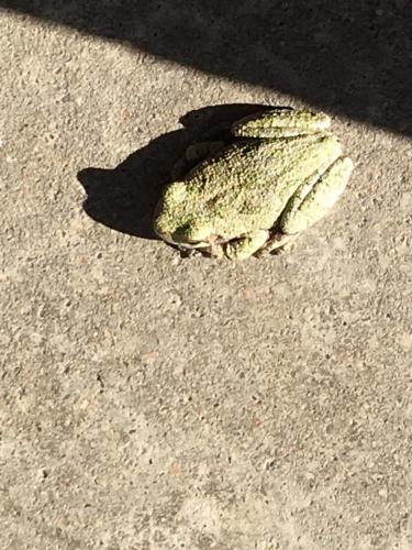 10:09:14 GMT-0600 (CST).image