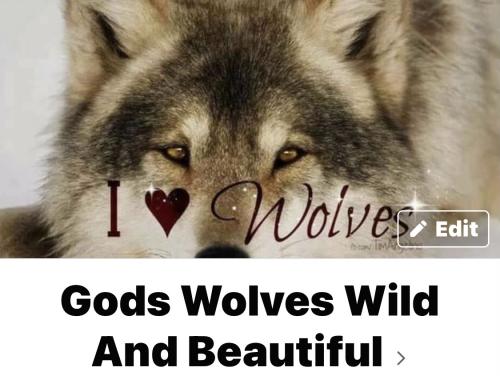 11:12:06 GMT-0600 (CST).image