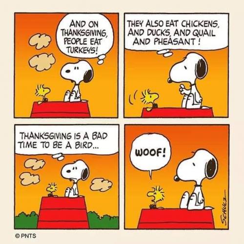 127539944_4607129772694642_8714214567075430526_n