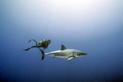 00:20:49 GMT-0600 (CST)