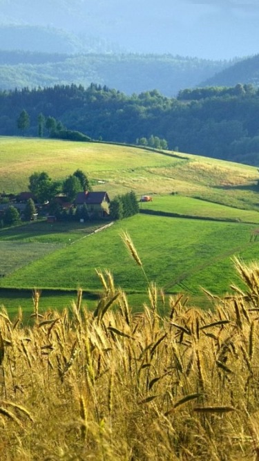 21:07:26 GMT-0600 (CST).image