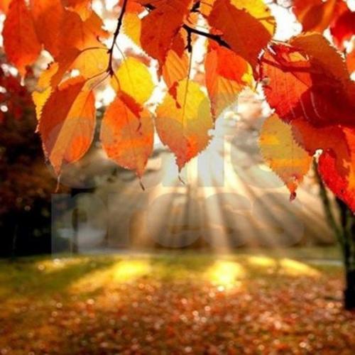 371d27ed9e3fe6dbf4c01282ad309dc0