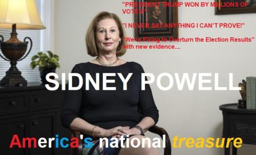 Sidney-Powell-EpochTimes_510A8621--700x420