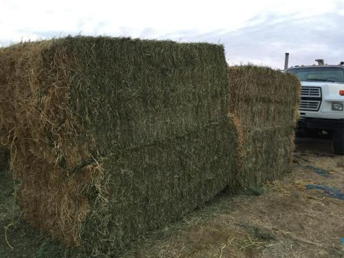 18:52:35 GMT-0800 (PST).image