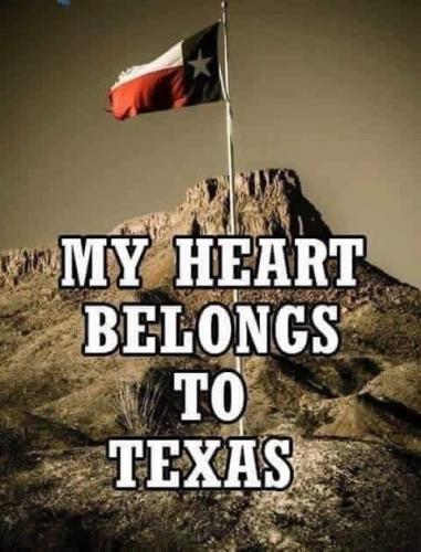 15:33:38 GMT-0600 (CST).image