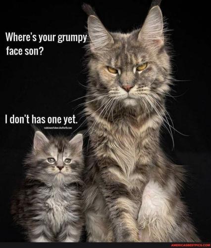 18:54:33 GMT-0600 (CST).image