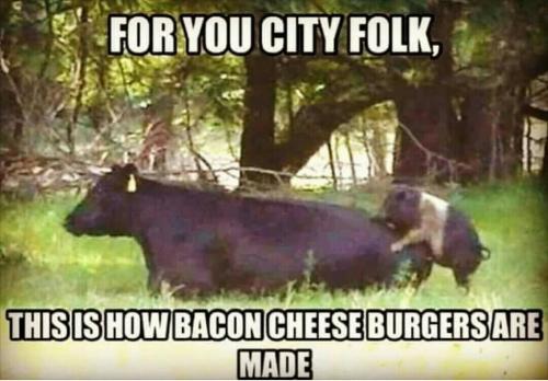 Screenshot_2020-05-13-21-19-06-1