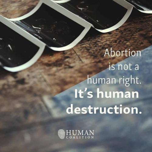 2018-08-27 19.22.30 1855524264045155660_5403409862