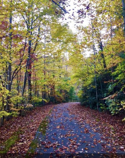 06:13:09 GMT-0500 (EST).image