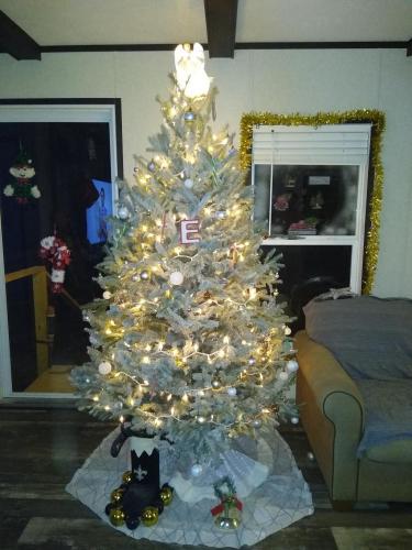 20:40:03 GMT-0600 (CST)