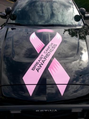 Breast Cancer Ribbon